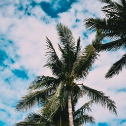 Discover Miami’s Hidden Gem Hotels Under $500