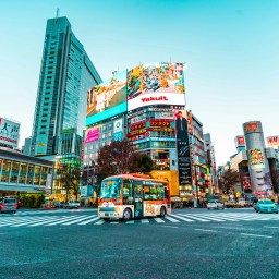 Top Tokyo Hotels Under $500 for Your Next Adventure