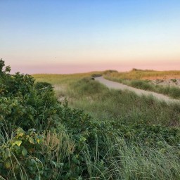 Explore Cape Cod, Martha’s Vineyard & Nantucket for Ultimate Getaways